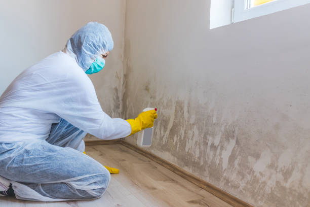 Hvac And Air Duct Mold Remediation inspection of HVAC system in Knightdale