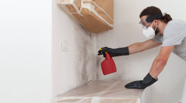 Attic Mold Remediation treatment on roof deck in Knightdale