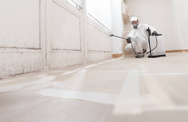 Black mold remediation team in Knightdale